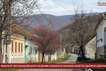 „Mica Americă” din Caraș-Severin va prinde culoare în această vară! Cu ajutorul voluntarilor!