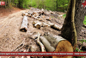 Victorie Agent Green la Tribunalul București privind stoparea tăierilor în Parcul Național Semenic – Cheile Carașului!